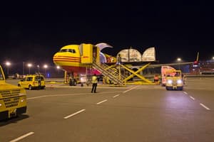 Entregas internacionales registraron récord pese a la pandemia
