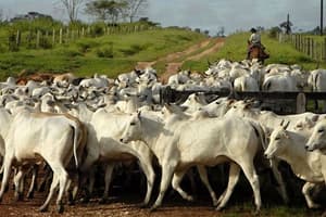 Lanzan sistema online para inversiones sostenibles en el Chaco