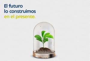 Banco lanza préstamos destinados a fines sostenibles
