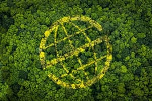 Empresa de seguridad obtiene destacada evaluación ambiental