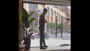 Graban a guardia de seguridad ayudando a perro en medio de intenso calor