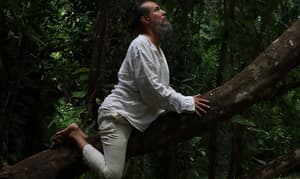 “Feral”: Una exposición que da voz a la fauna nativa en peligro