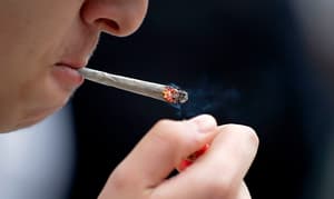 Alerta: Consumo de marihuana eleva riesgo cardíaco