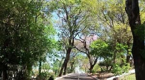 ¿Cuánto se debe invertir en infraestructura verde en Asunción?
