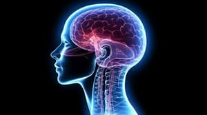 Estudio revela potencial de rejuvenecimiento cerebral