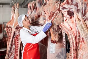 Paraguayan Beef Advances Toward South Korea