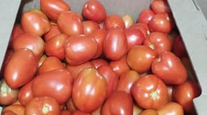 Tomate sube a G. 230.000 por caja en Abasto