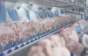 Singapur evaluará apertura de mercado cárnico a Paraguay en 60 días