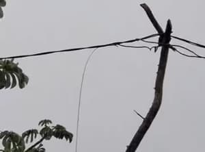 Padre e hijo fallecen electrocutados por cable caído en Hernandarias