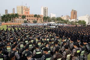 Polibandis: más de diez agentes implicados en delitos este año