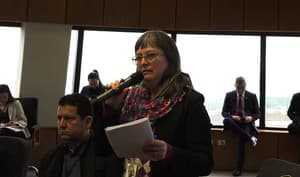 Canese advierte plan de privatización de la ANDE