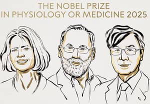 Nobel de Medicina 2025 reconoce avances contra la autoinmunidad