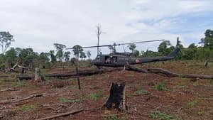 Narcotráfico destruyó 5.400 hectáreas de bosques en dos años, alerta Senad