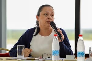 Senado sin quorum ante denuncias contra ministro del Interior y Policía