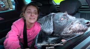 Boro volvió a casa: hallan con vida al perro perdido tras el choque de trenes en España