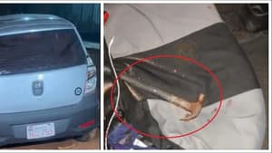 Atacan con martillo a conductor de plataforma en Ñemby
