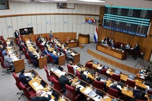 Senado sube a 15 años la pena para adolescentes infractores