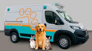 Impulsan campaña por una ambulancia para animales