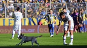 Perrito interrumpe partido en Argentina y se vuelve viral