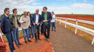Paracel inicia obras para primera planta de celulosa