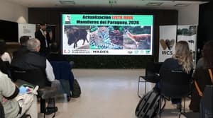 Mades actualiza la lista roja de mamíferos en riesgo