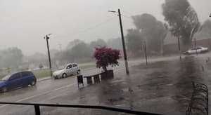 Temporal dejó cortes de luz y caída de árboles en Pilar