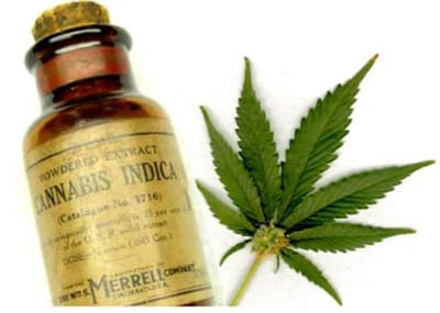 Aceite de Cannabis /Ilustración
