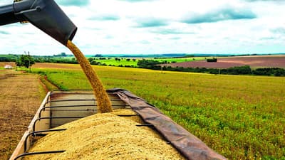 Prohíben gravar exportación de granos   