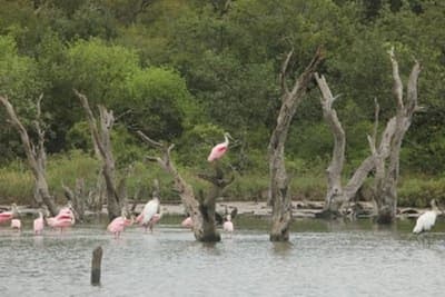 Analizarán cambios climáticos y los recursos hídricos del Chaco