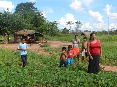 Campesinado: “No existen políticas estructurales para la lucha contra la pobreza”