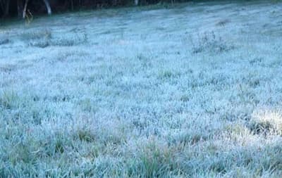 Temperatura llegó a los -3 grados