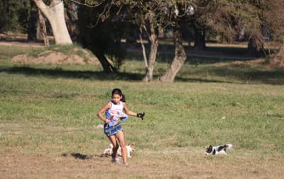 Meteorología anuncia domingo cálido
