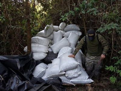 Caen 2.600 kilos de marihuana en Curuguaty