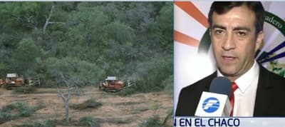 Viceministro asegura que la deforestación no es un problema