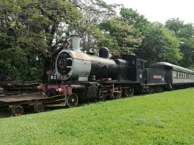 Proyectan reactivar el ferrocarril