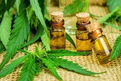 Cannabis, a un paso de ser legal
