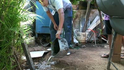 Alertan sobre nuevos casos de dengue, zika y chikungunya