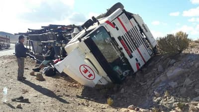 Cigüeña de paraguayos vuelca en Argentina