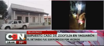 Detienen a hombre por abuso de una mascota
