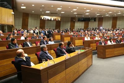 Congreso designa a vicepresidenta, futura Presidenta de la República