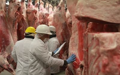 MIC aplica millonarias multas a frigoríficos