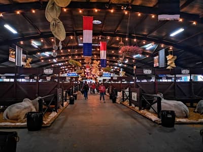 Shows artísticos y folclóricos marcarán el cierre de la Expo 2018