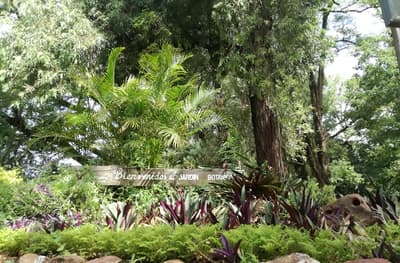Ciudadanos piden evitar la "destrucción del Jardín Botánico"