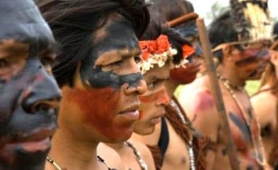 Estudio revela que los paraguayos poseen “85% sangre nativa”