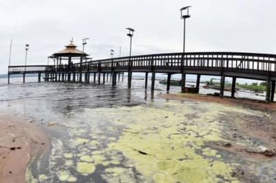 Aumenta cantidad de cianobacterias en el Lago Ypacaraí