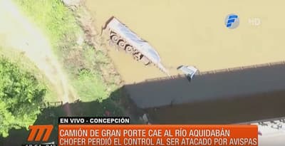 Camionero cae a río a causa de ataque de enjambre