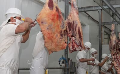 Arabia Saudita abre su mercado a la carne paraguaya, anuncia Abdo Benítez