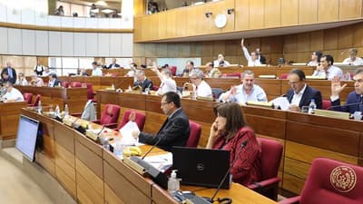 Aprueban proyecto de ley que “abre” el servicio diplomático