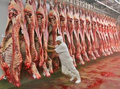 Exportación de carne tendrá importante crecimiento, vaticinan
