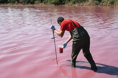 Tras varias denuncias, Mades interviene en laguna teñida de rojo